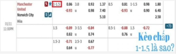 Kèo 1-1.5 Là Gì? Cách Đọc Kèo Và Kinh Nghiệm Soi Kèo 1-1.5